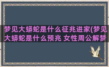 梦见大蟒蛇是什么征兆进家(梦见大蟒蛇是什么预兆 女性周公解梦)